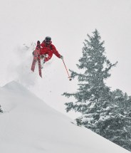 skis