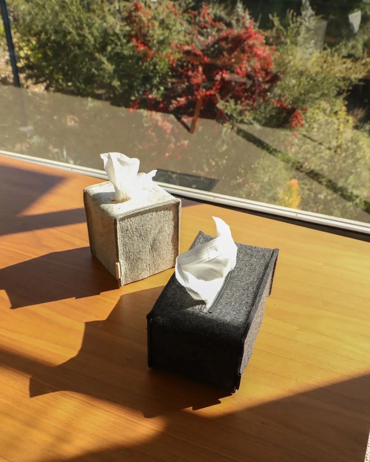 tissue box
