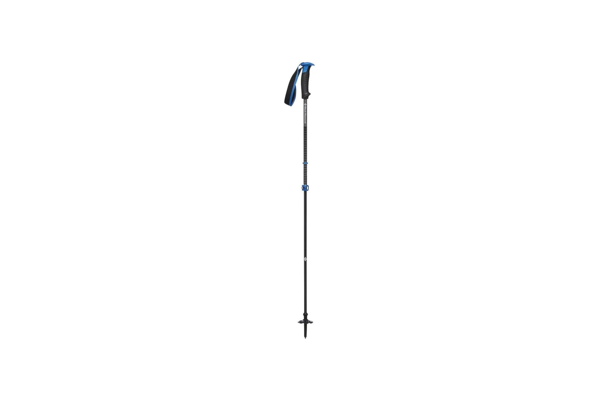 a black ski pole