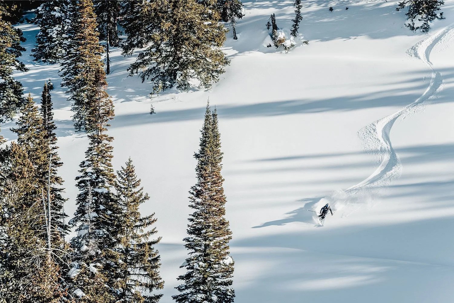 sponsored note backcountry 12 2
