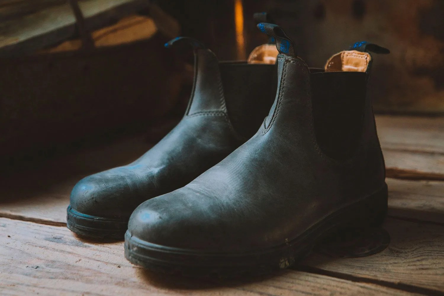 blundstone 500 boot