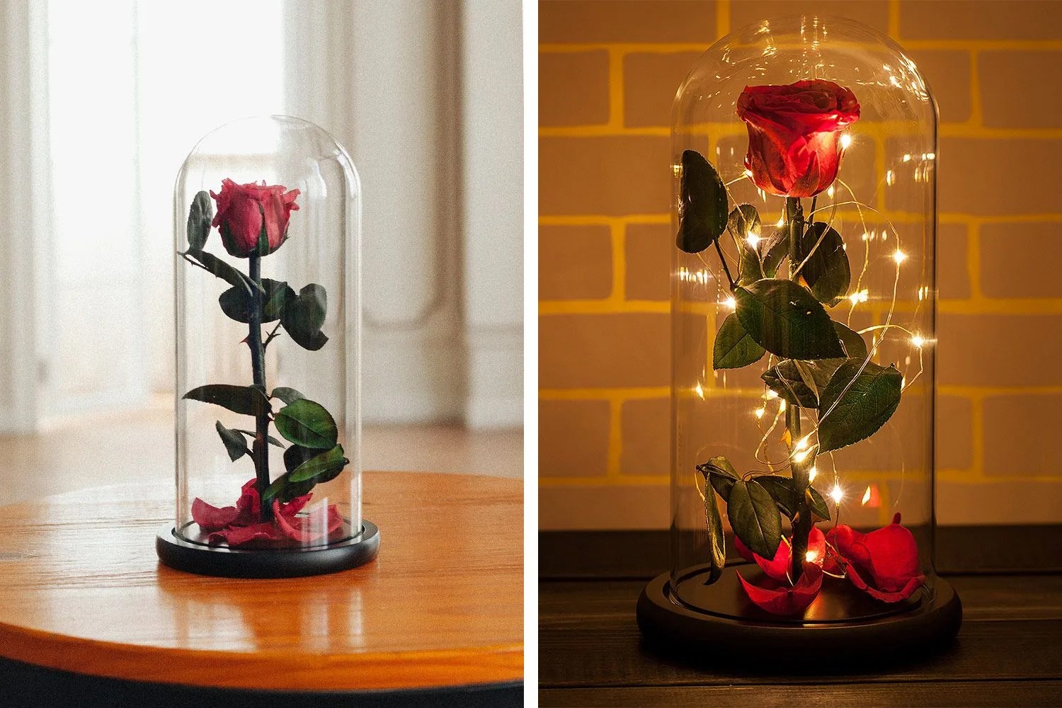 rosephoria sealed rose