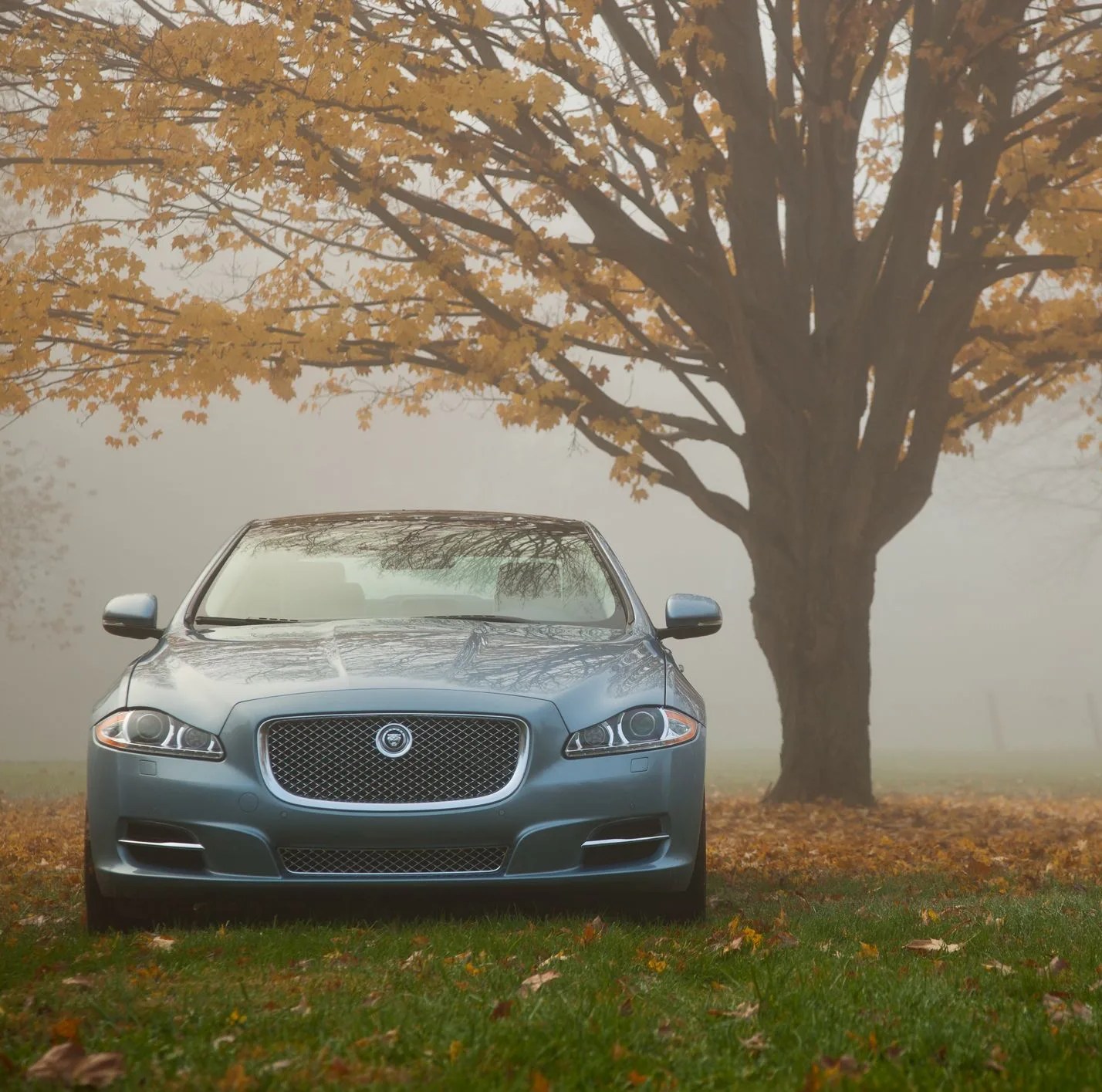 jaguar xj fall