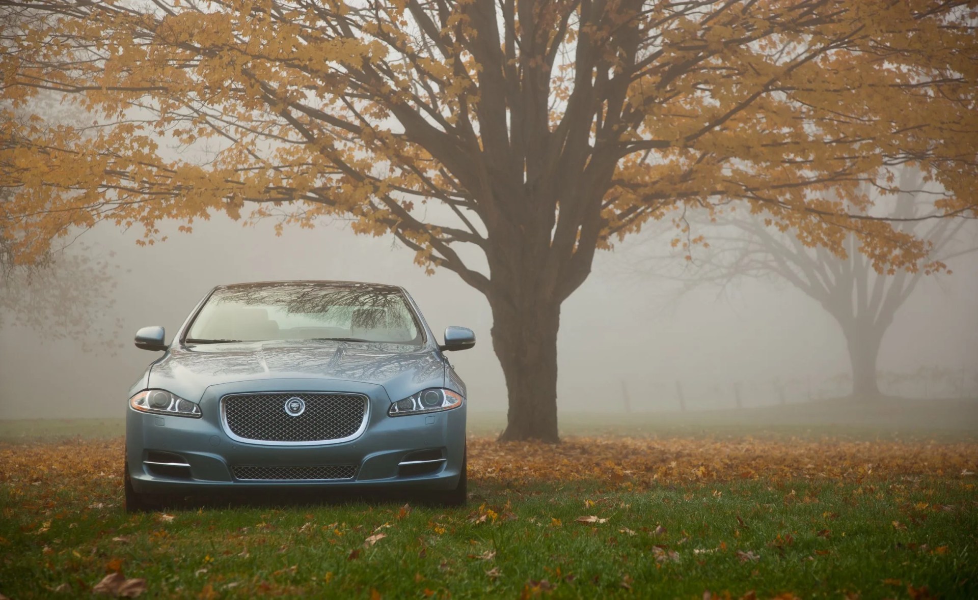 jaguar xj fall