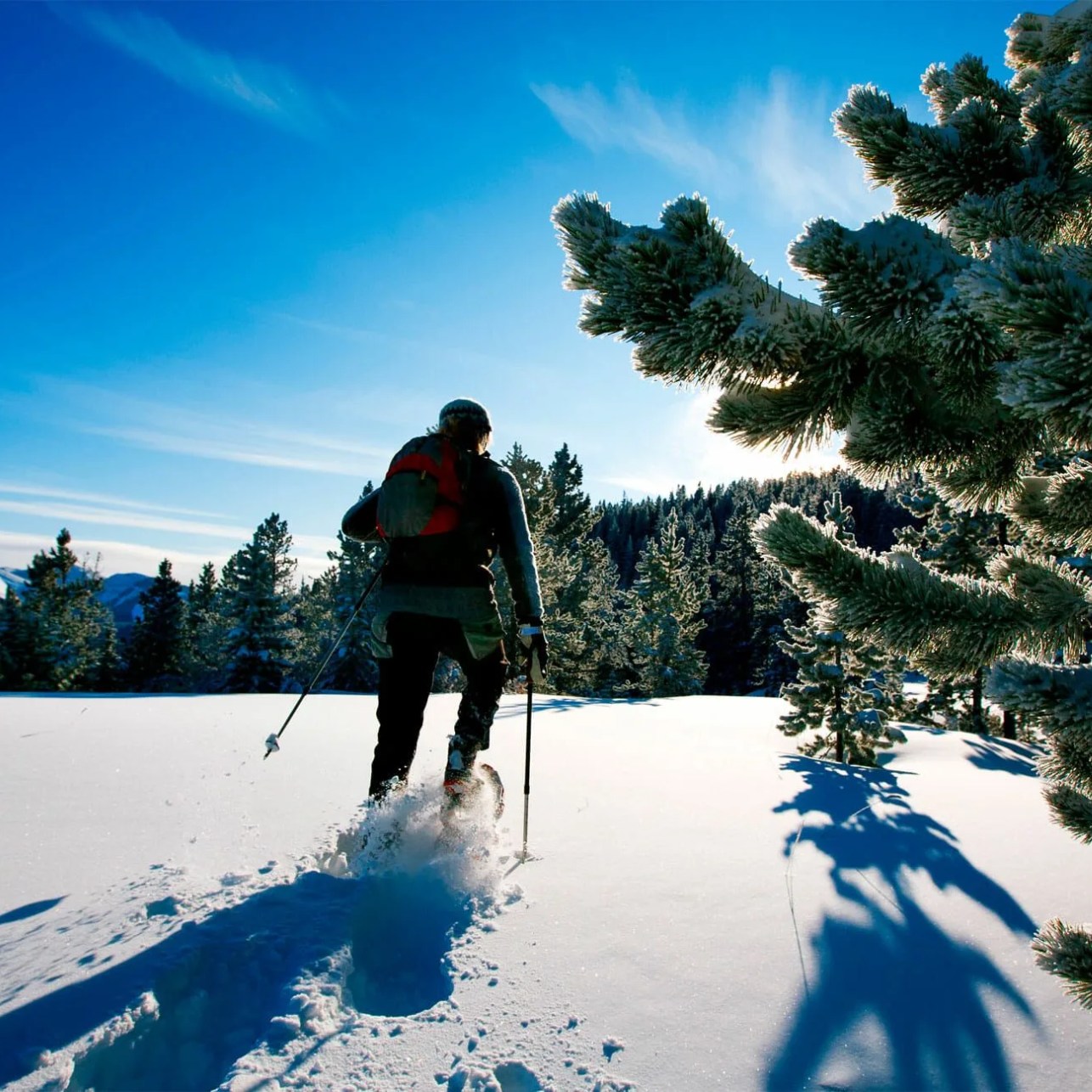 winter hiking pants gear patrol lead full