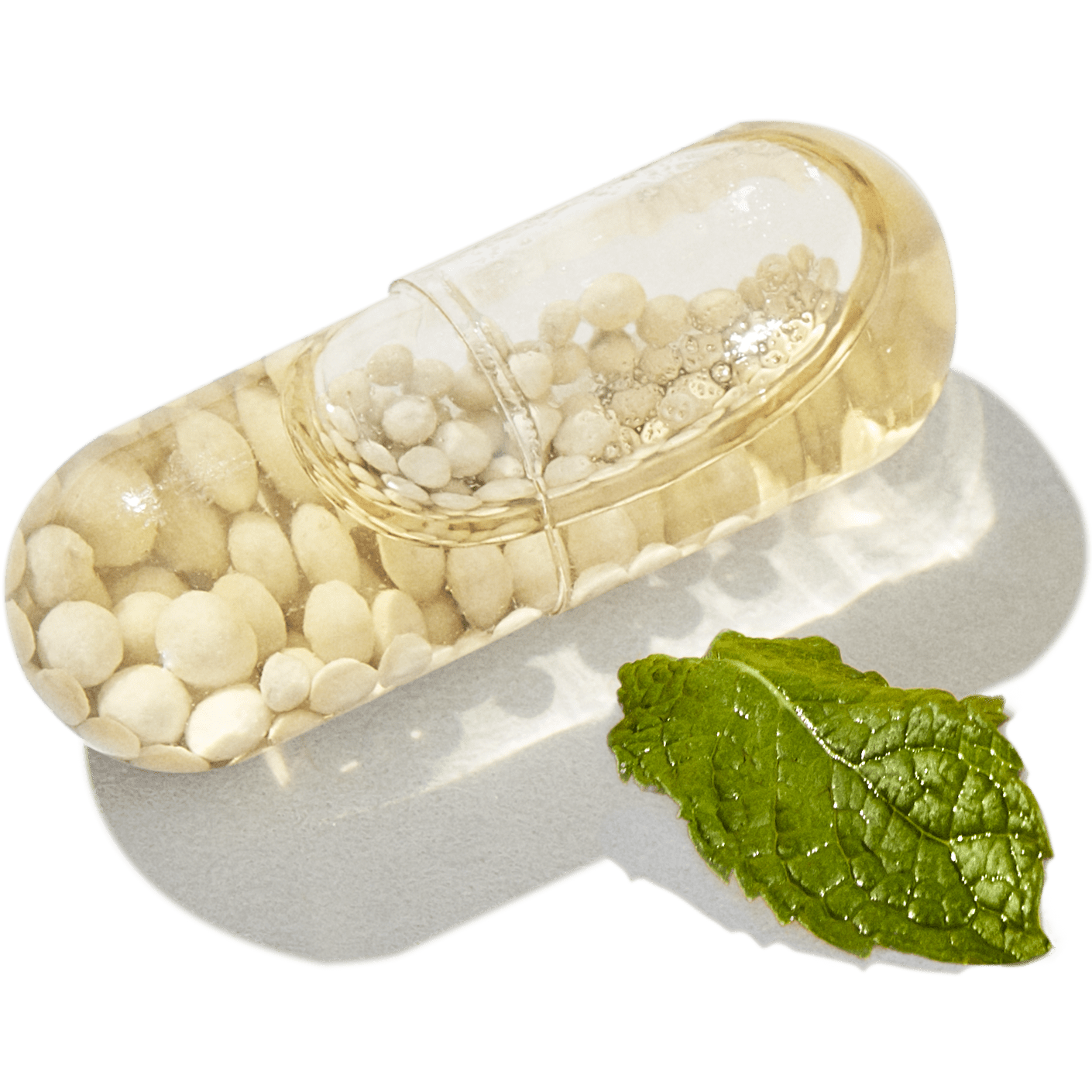 gp100 health