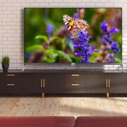 tcl guide