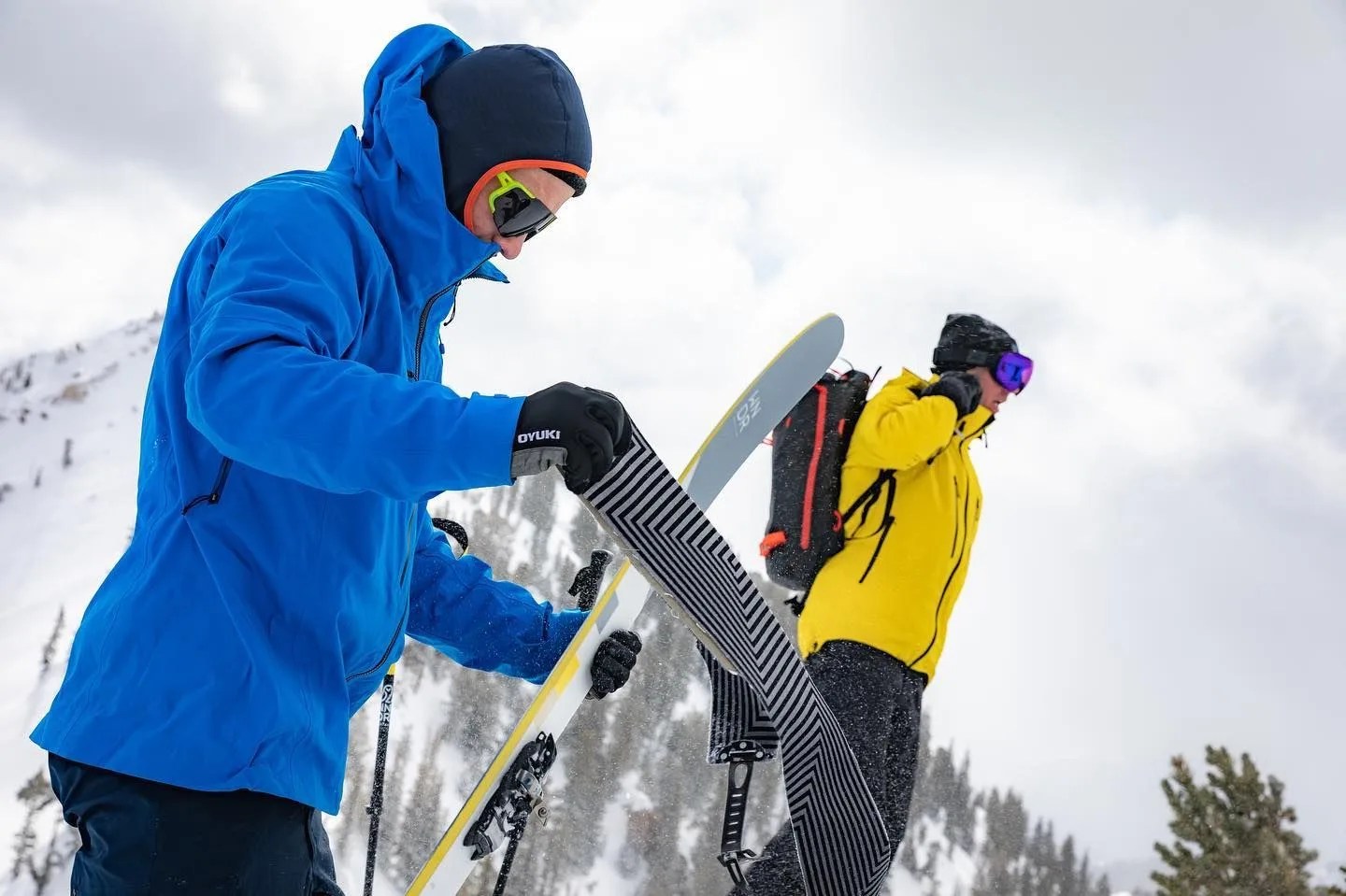 ski