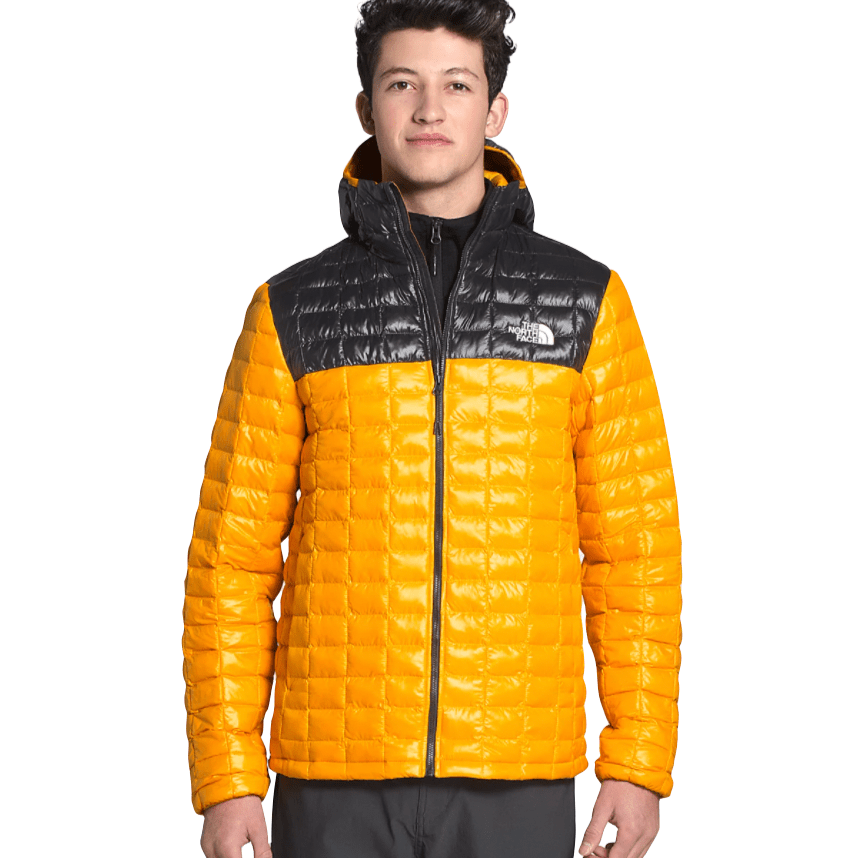 insulated hoodie