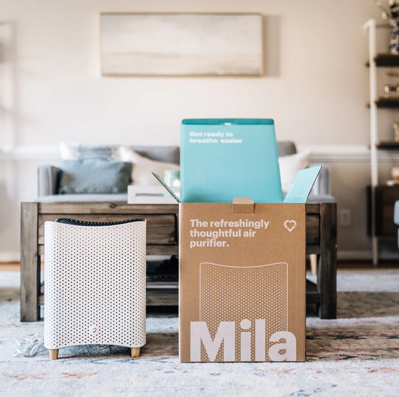 air purifier