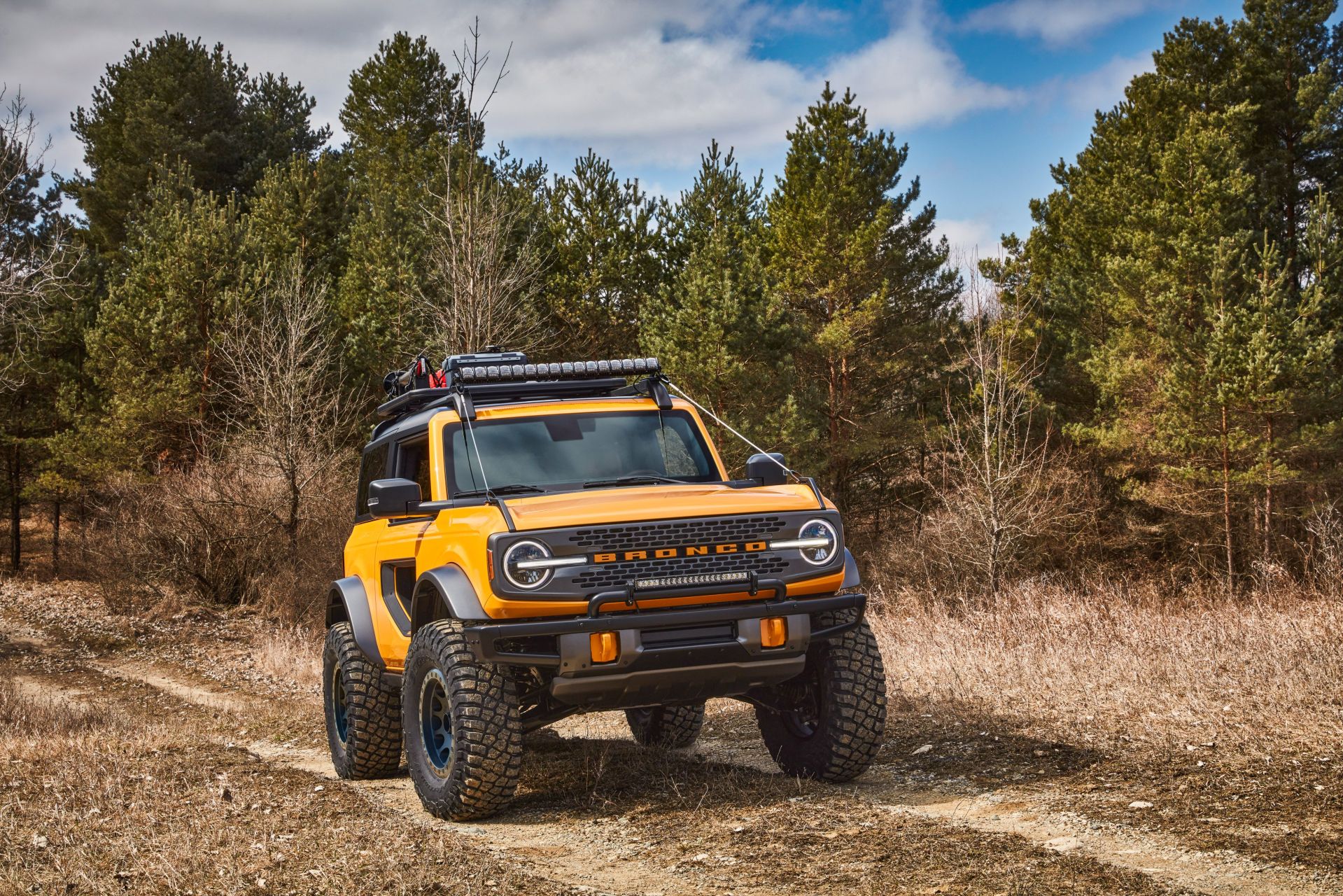 new ford bronco