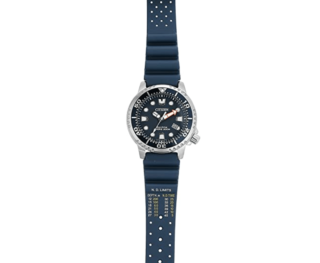 diver watch