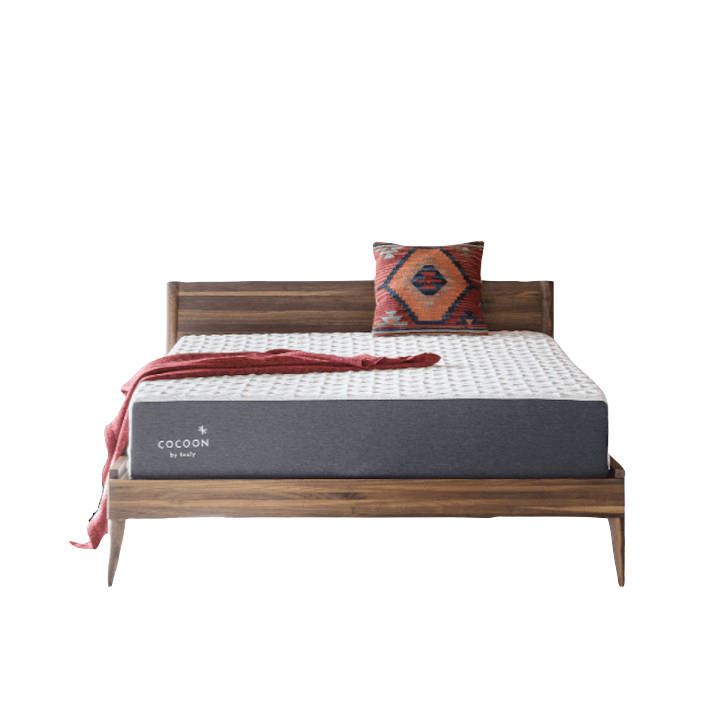 cocoon by sealy
