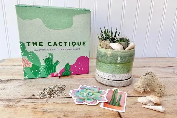cacti