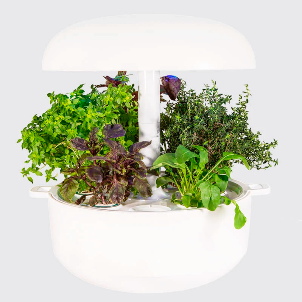 garden kit
