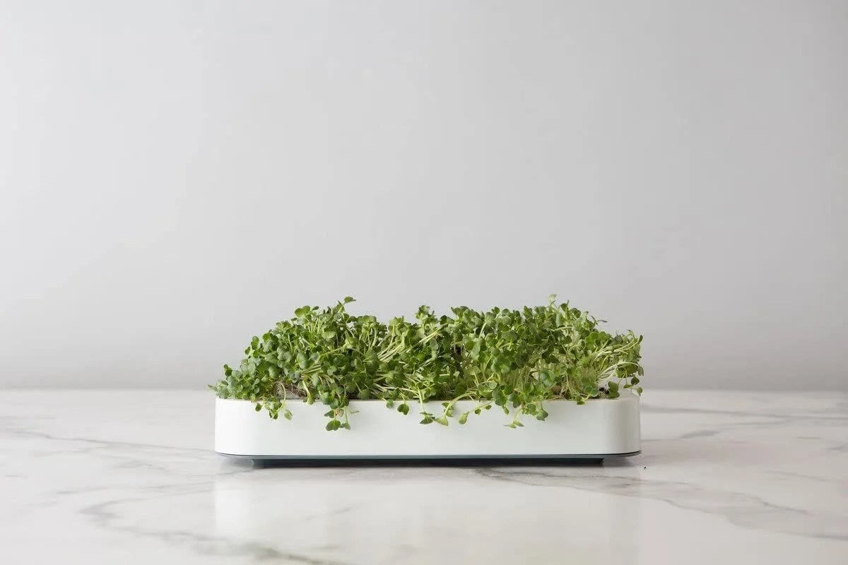 garden kit