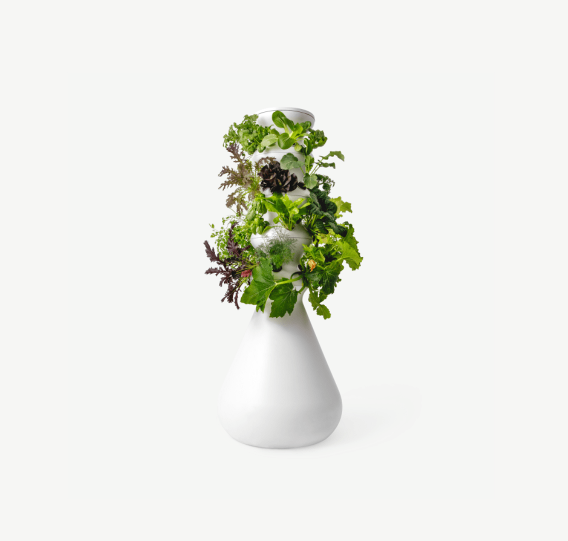 grow kit