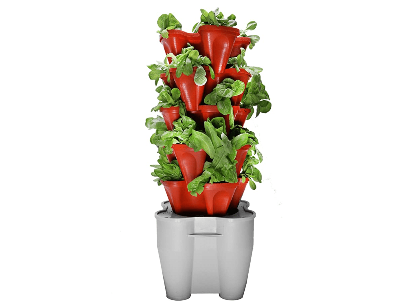 grow kit