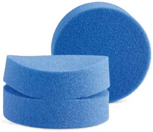 blue sponge