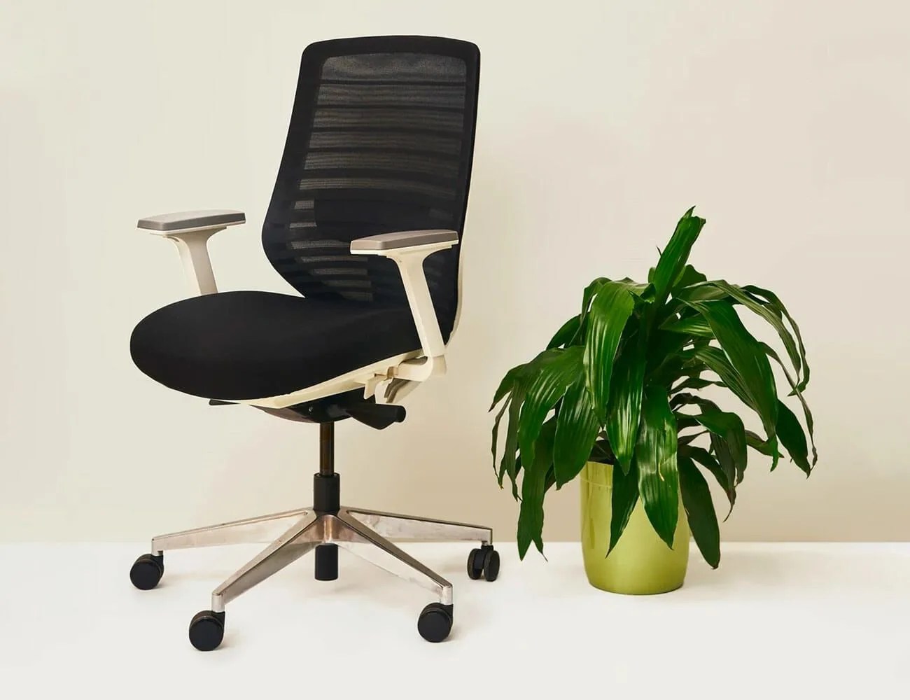 affordable wfh gear gear patrol branch