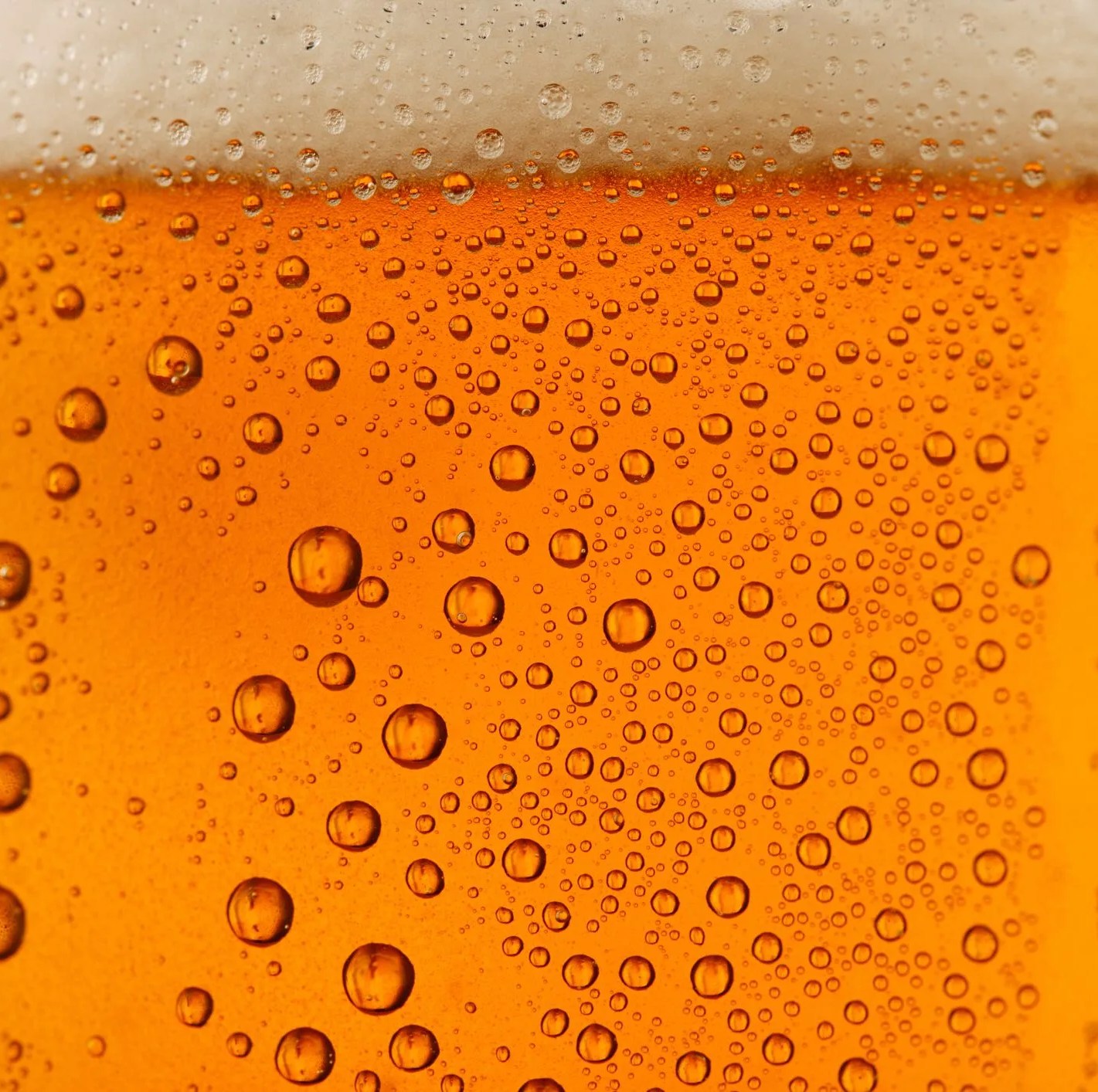 beer background
