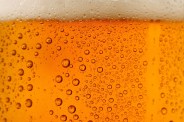 beer background