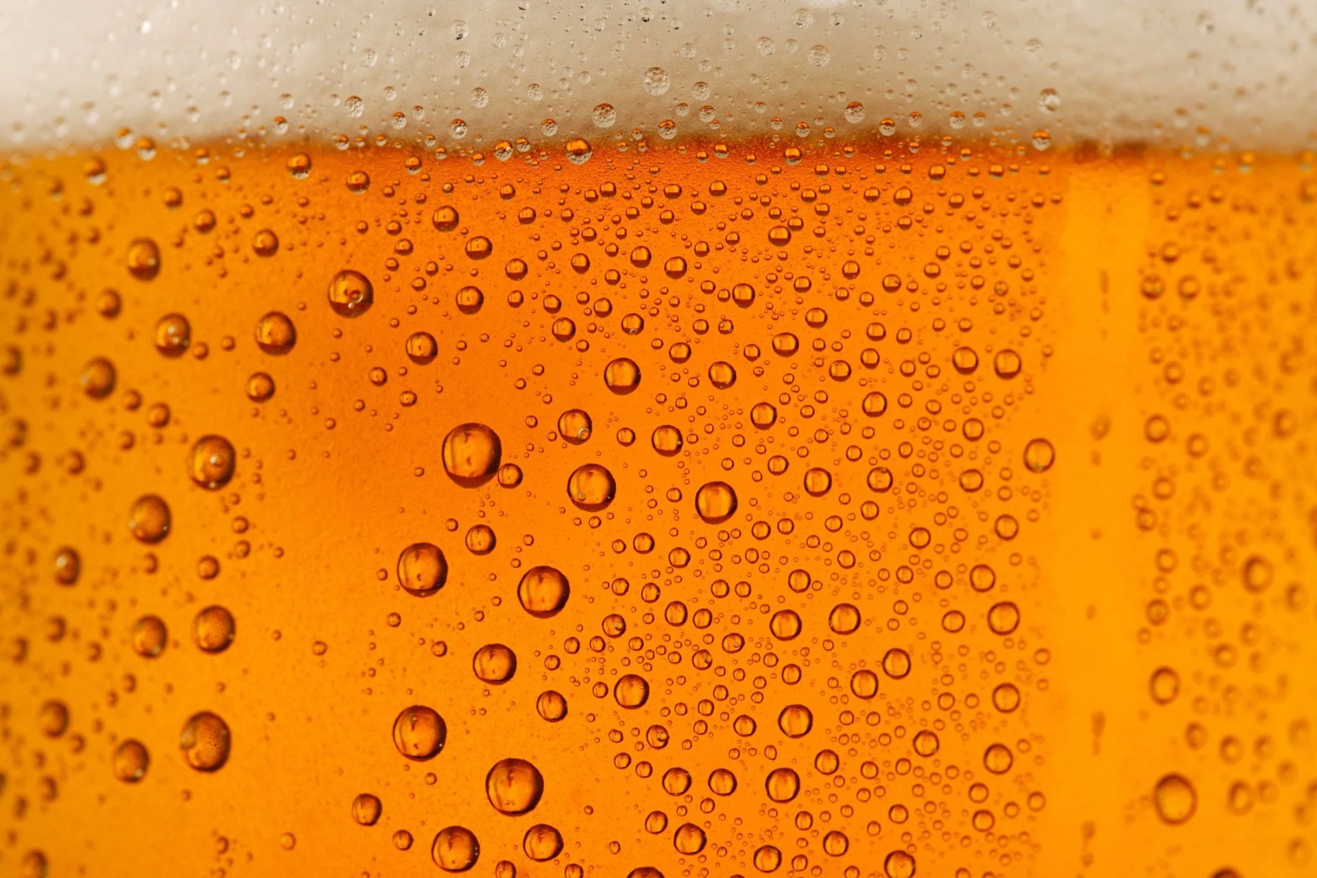 beer background