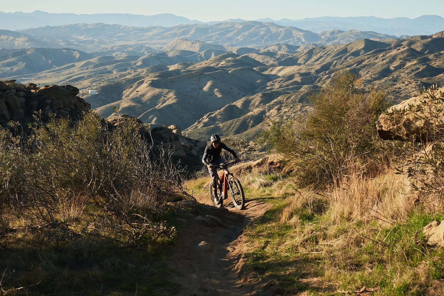 specialized levo 3