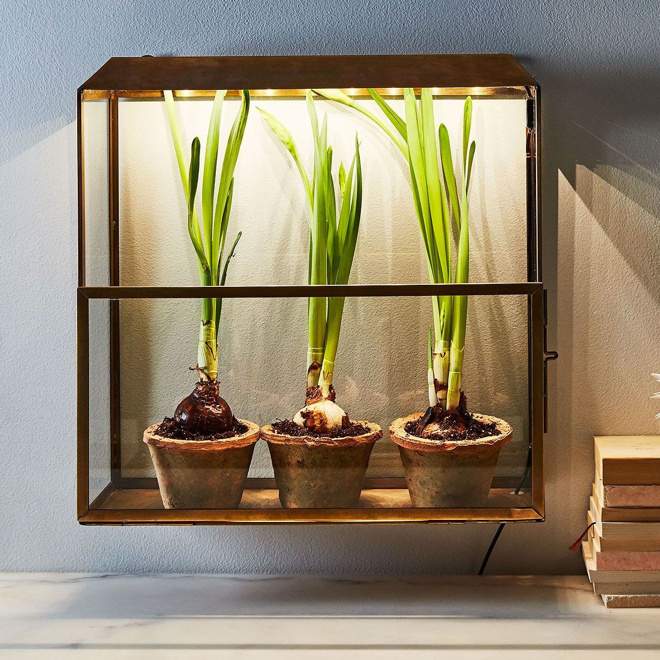 garden kit