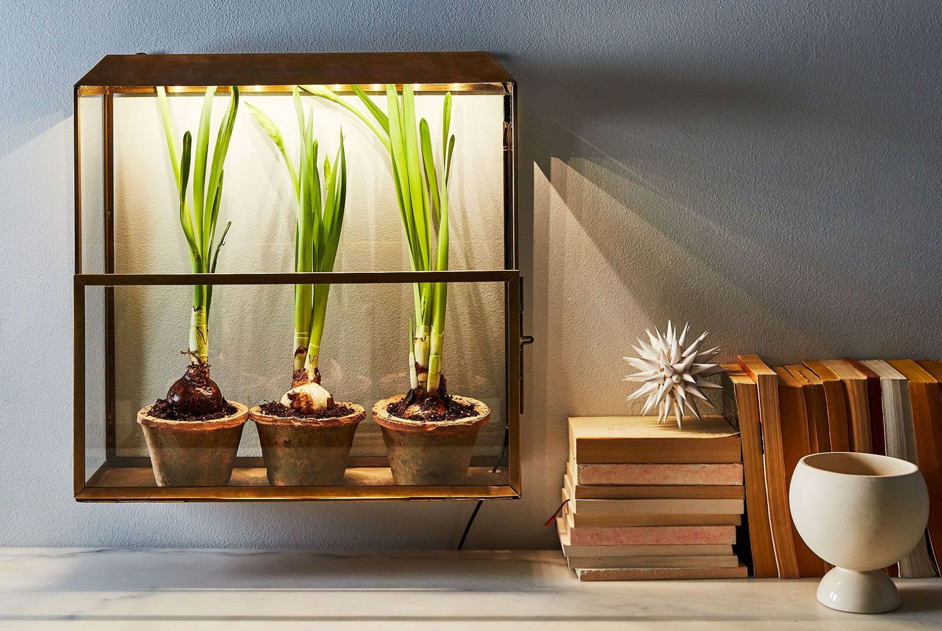 garden kit