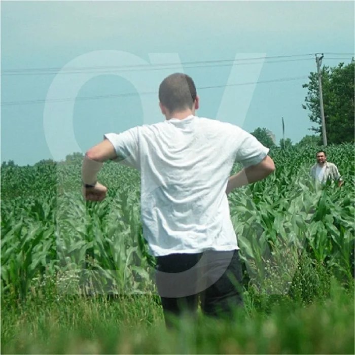 ovlov album cover