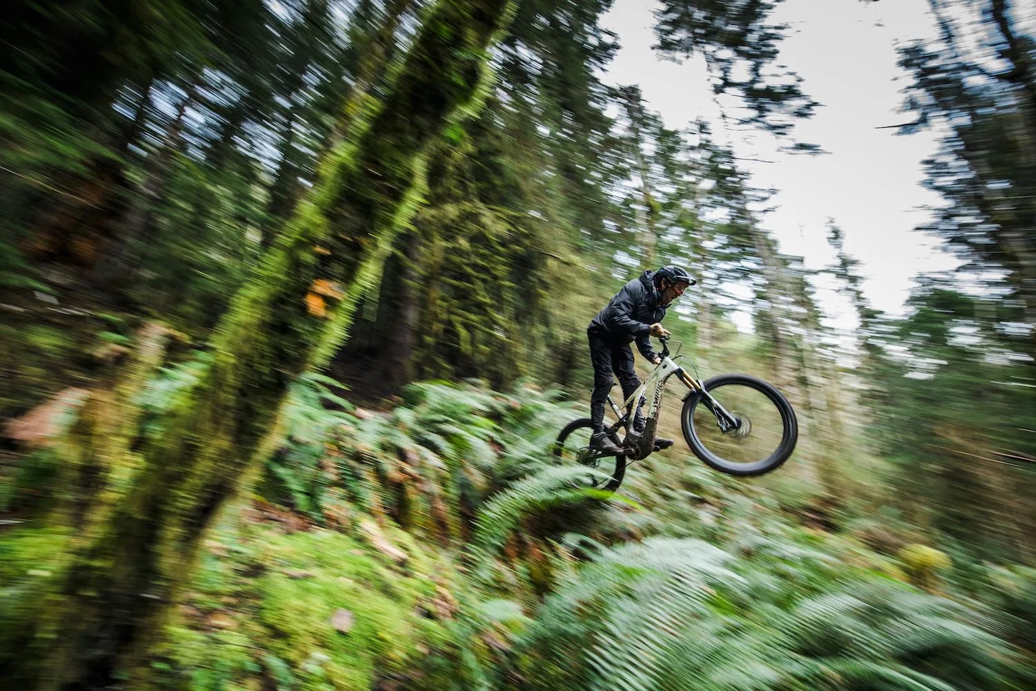 specialized levo 3