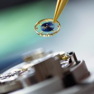servicing watch