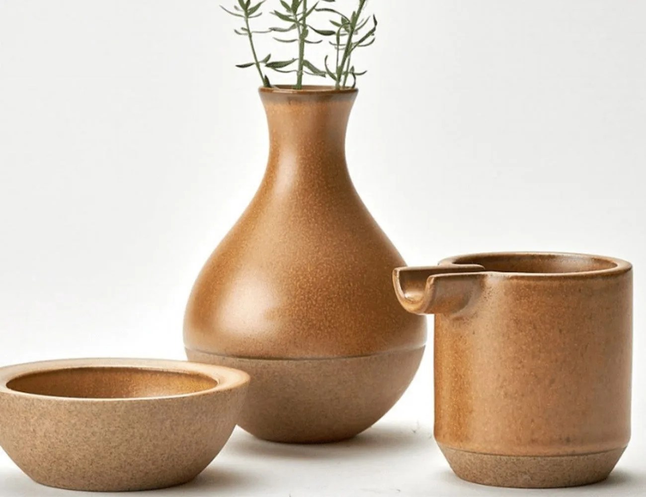 house plant
