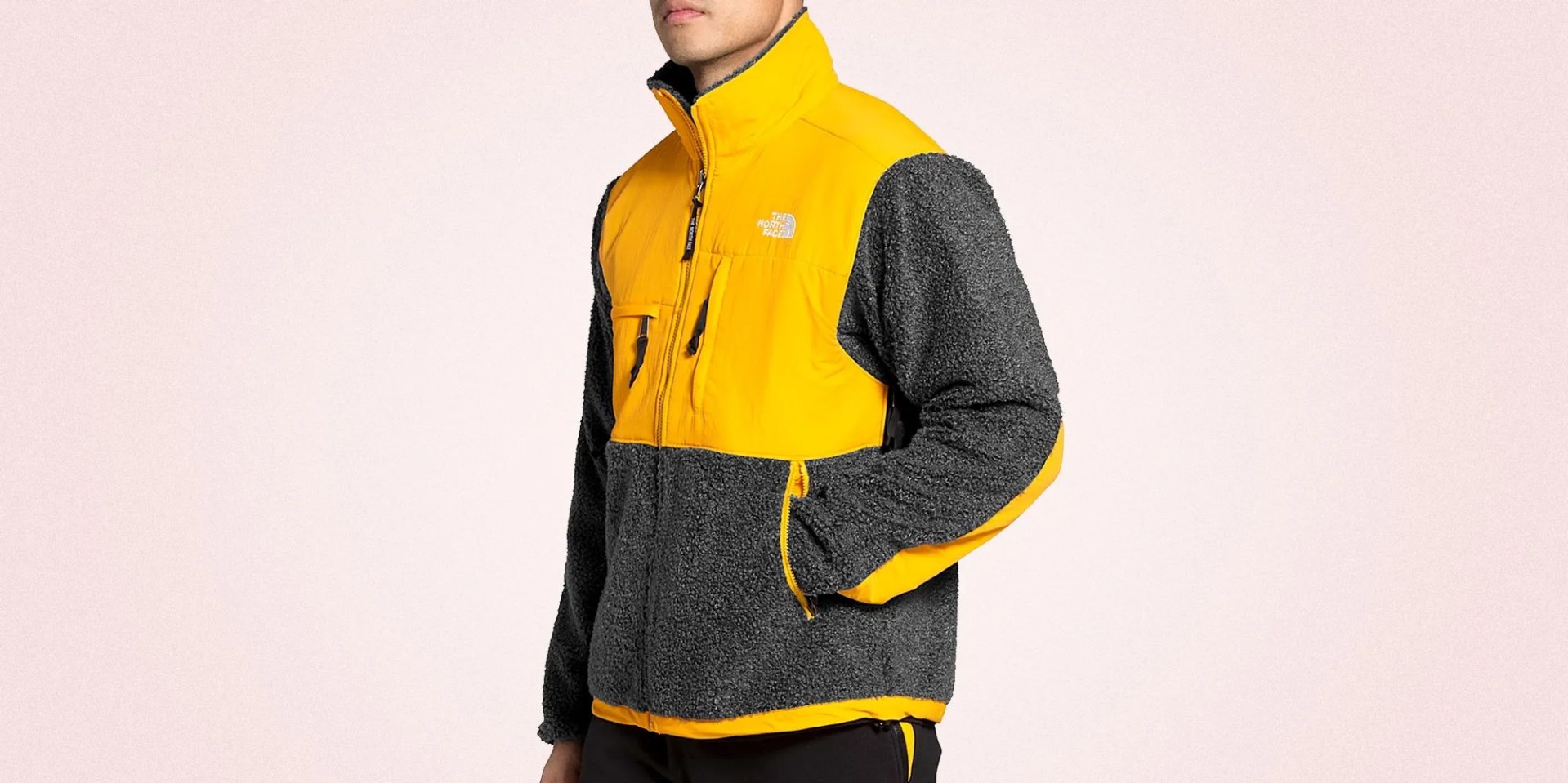 the north face denali