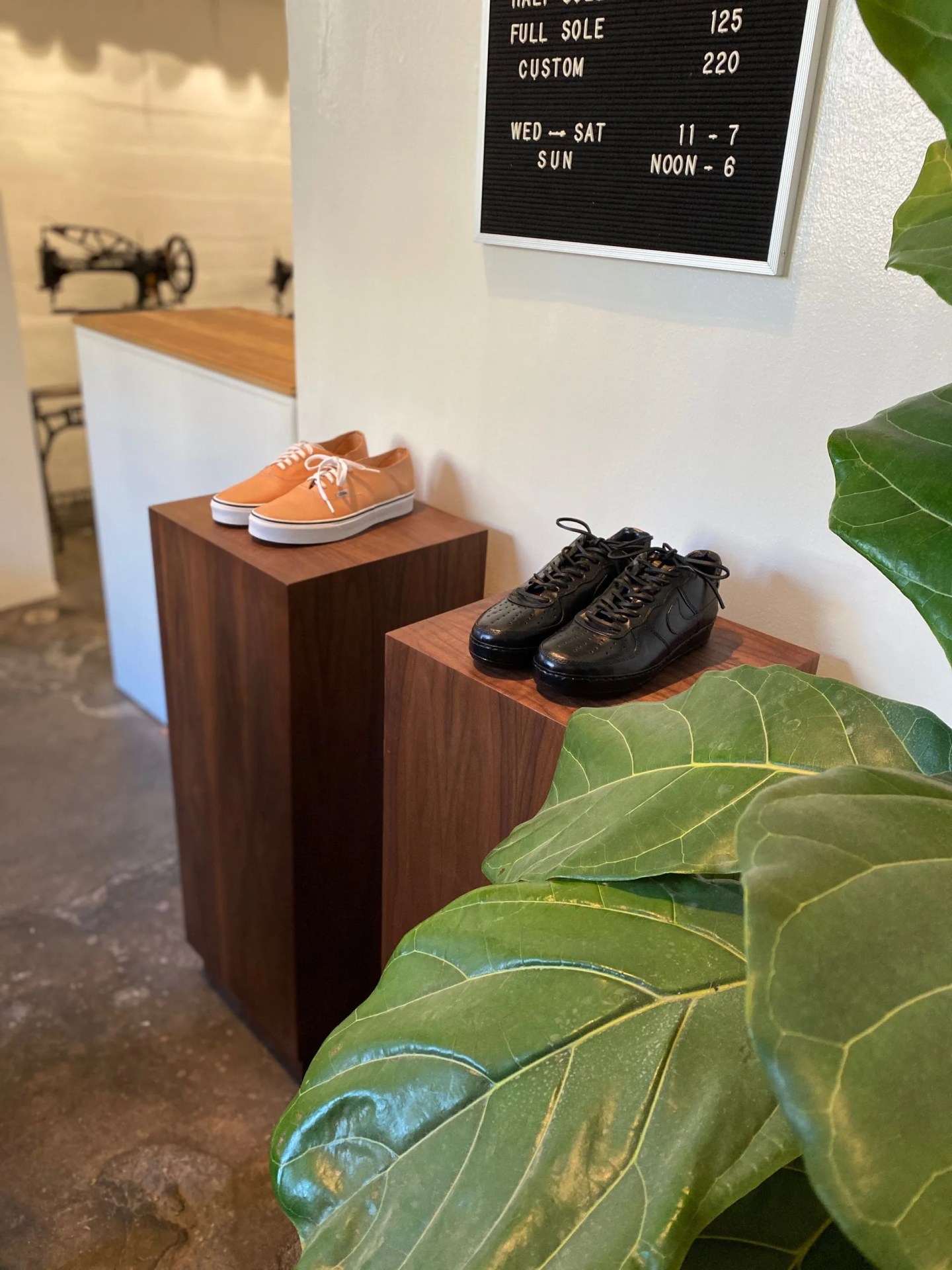 shoes
