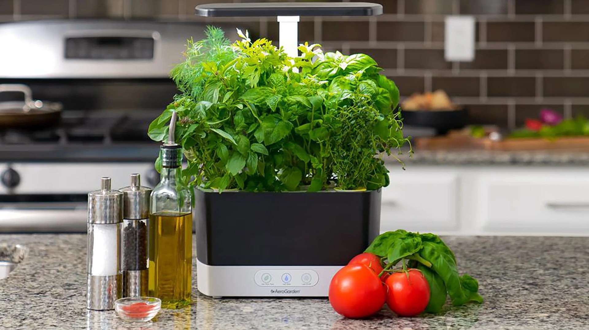 aerogarden