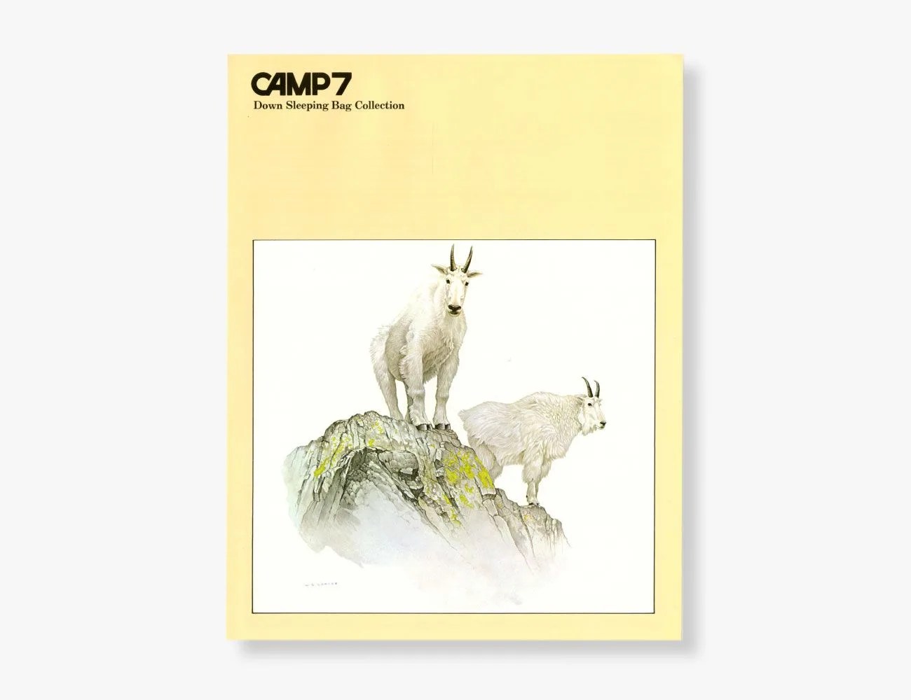 camp 7