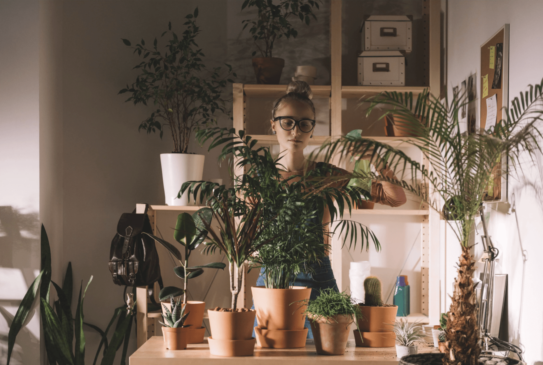 plants
