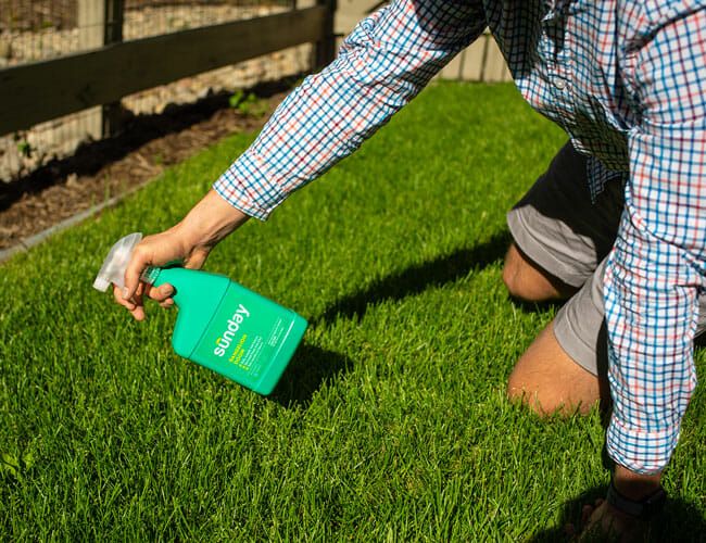sunday-weed-control-feature