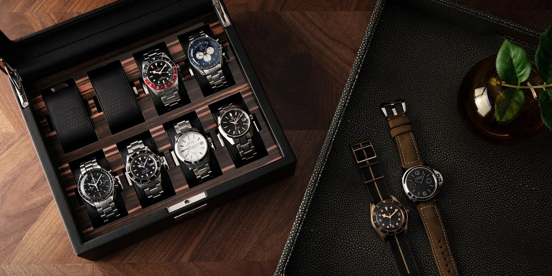 watchbox watches