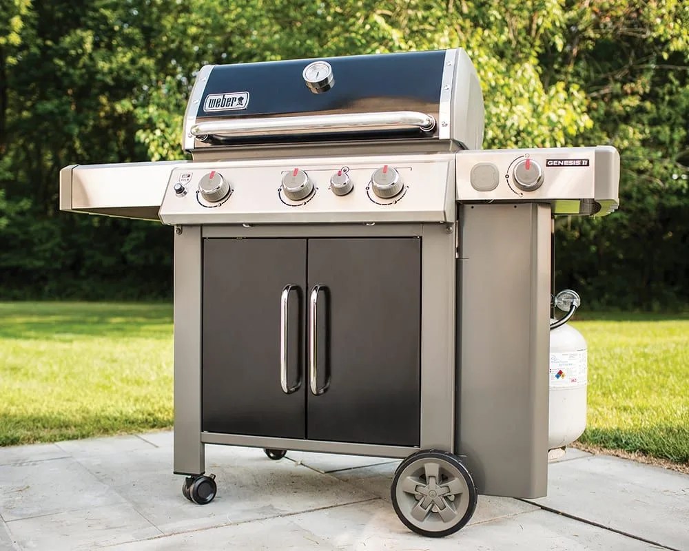 weber genesis ii