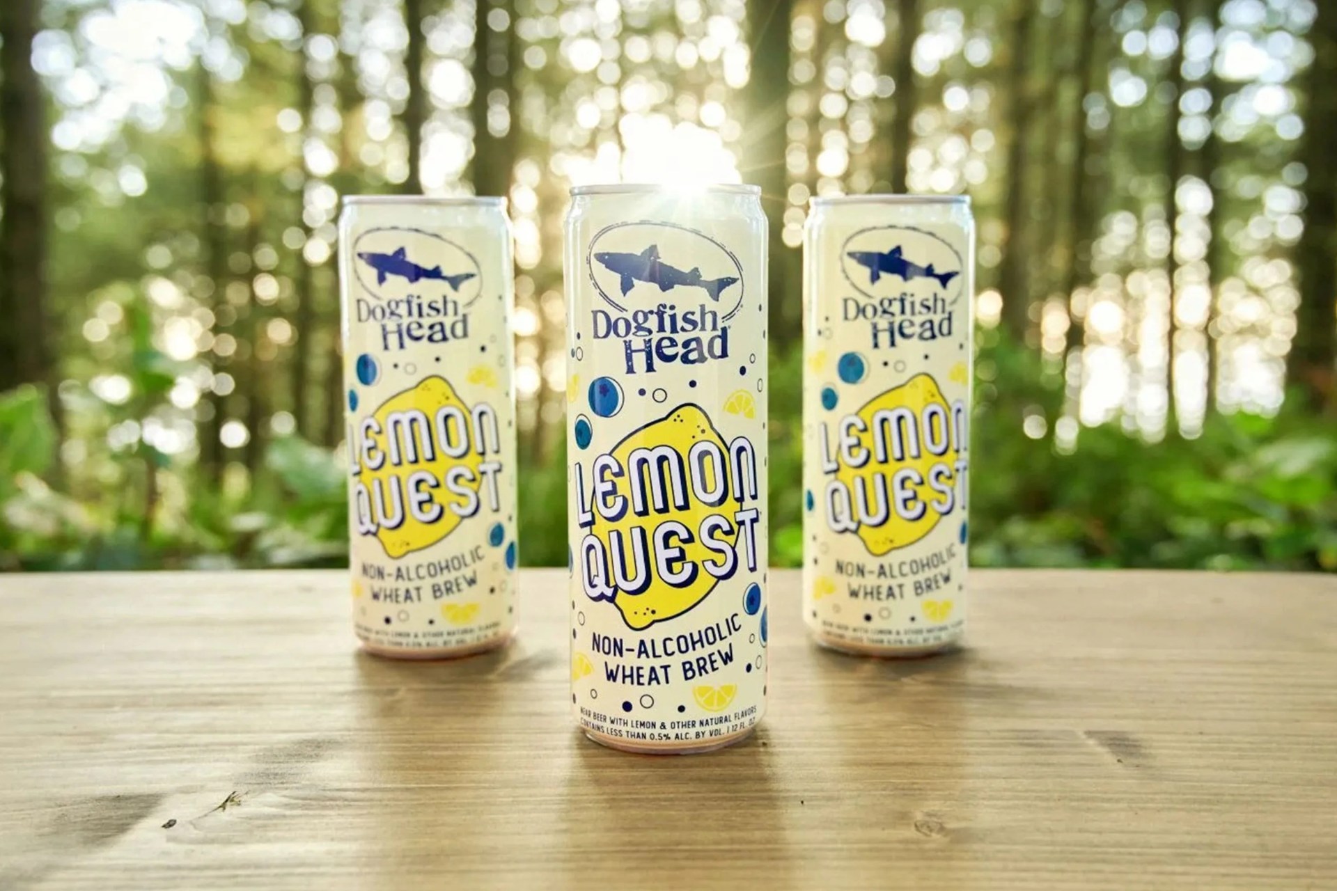 dogfish head lemon quest
