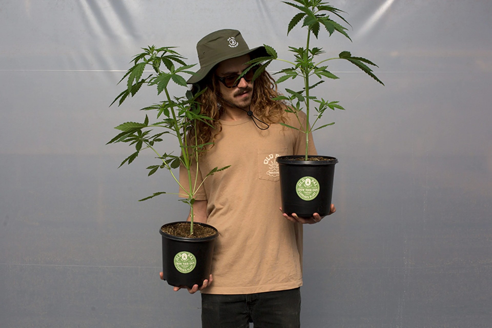 old pal grow kits