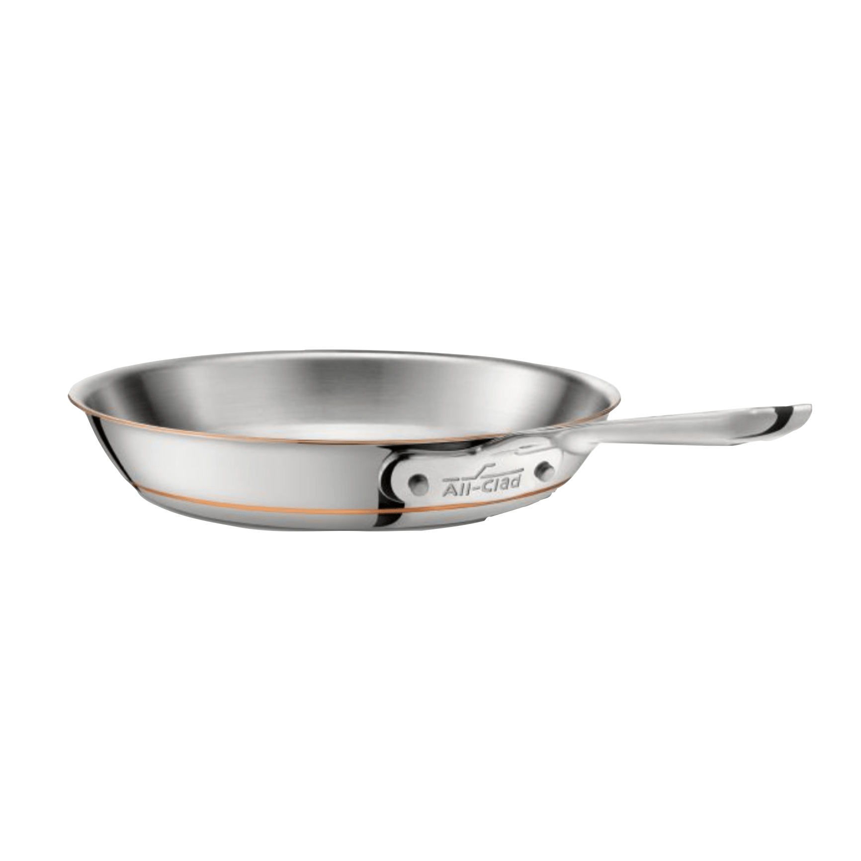 a stainless steel fry pan