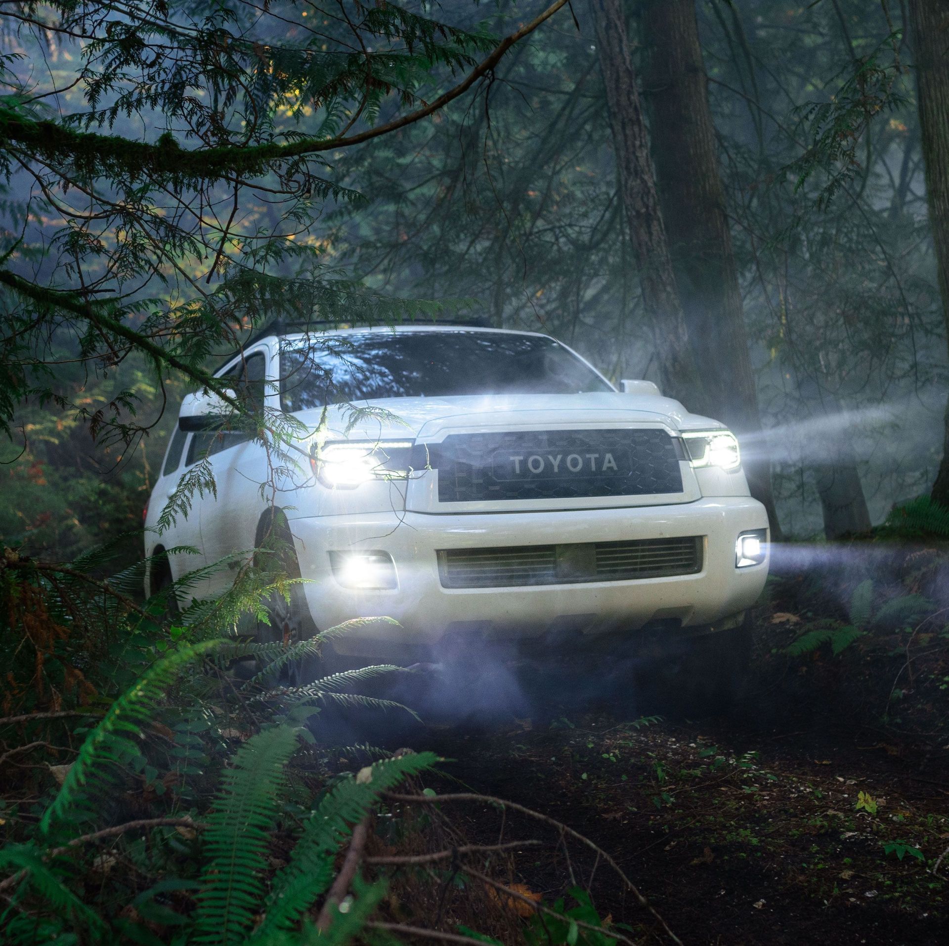 toyota sequoia