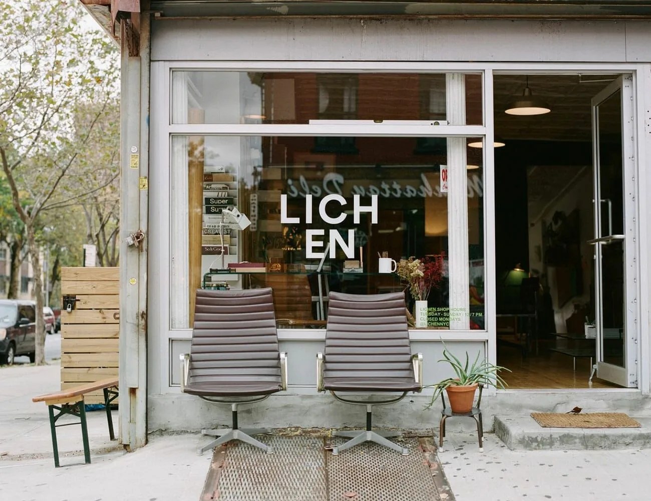 lichen