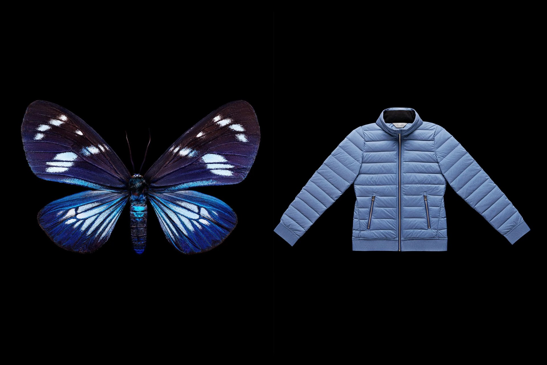 aether moth x outerwear