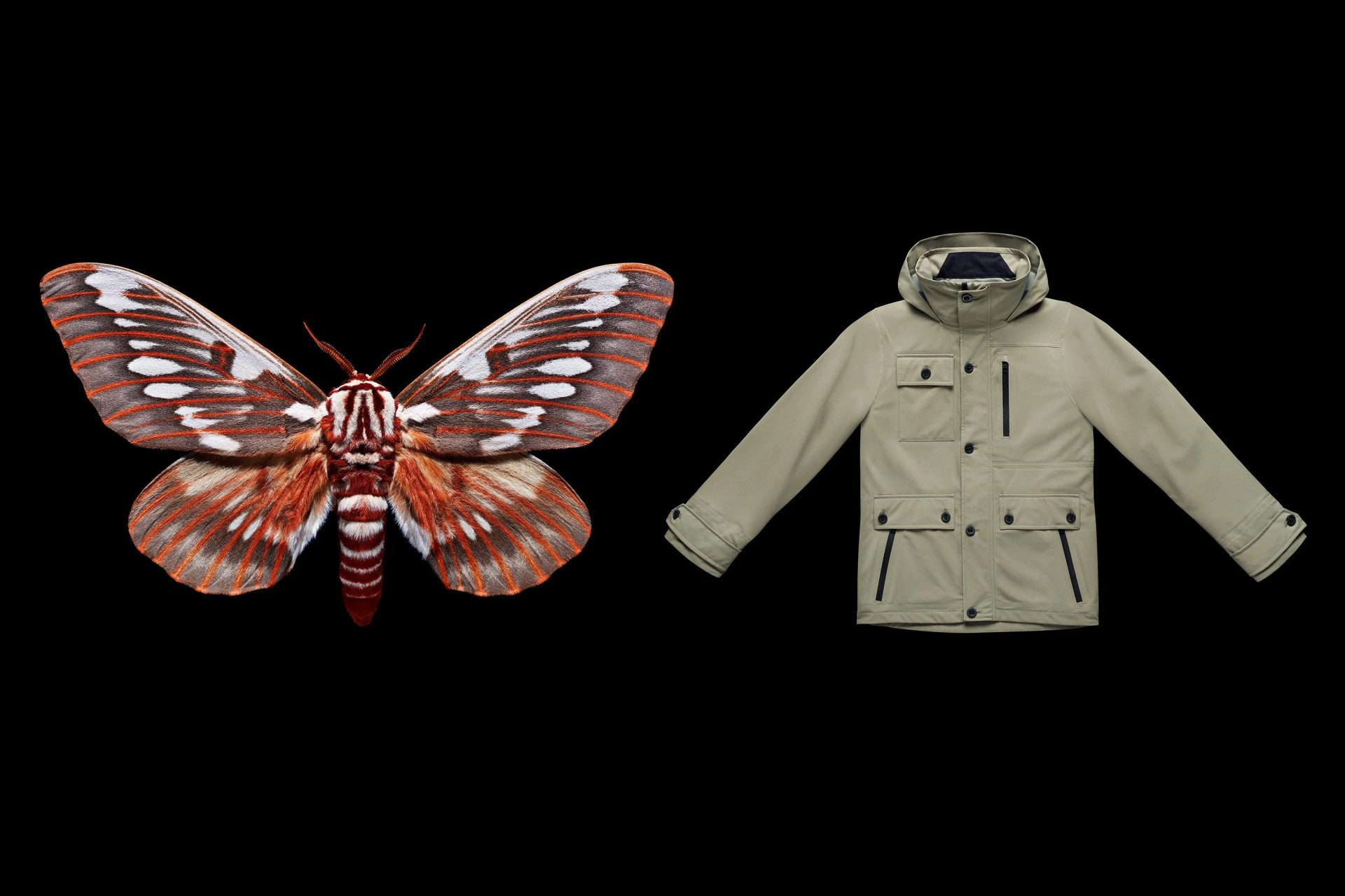 aether moth outerwear