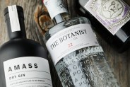 best gin